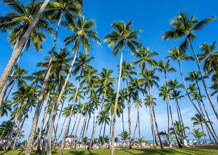 Hotel: Viva V Samana By Wyndham, A Trademark Adults All Inclusive